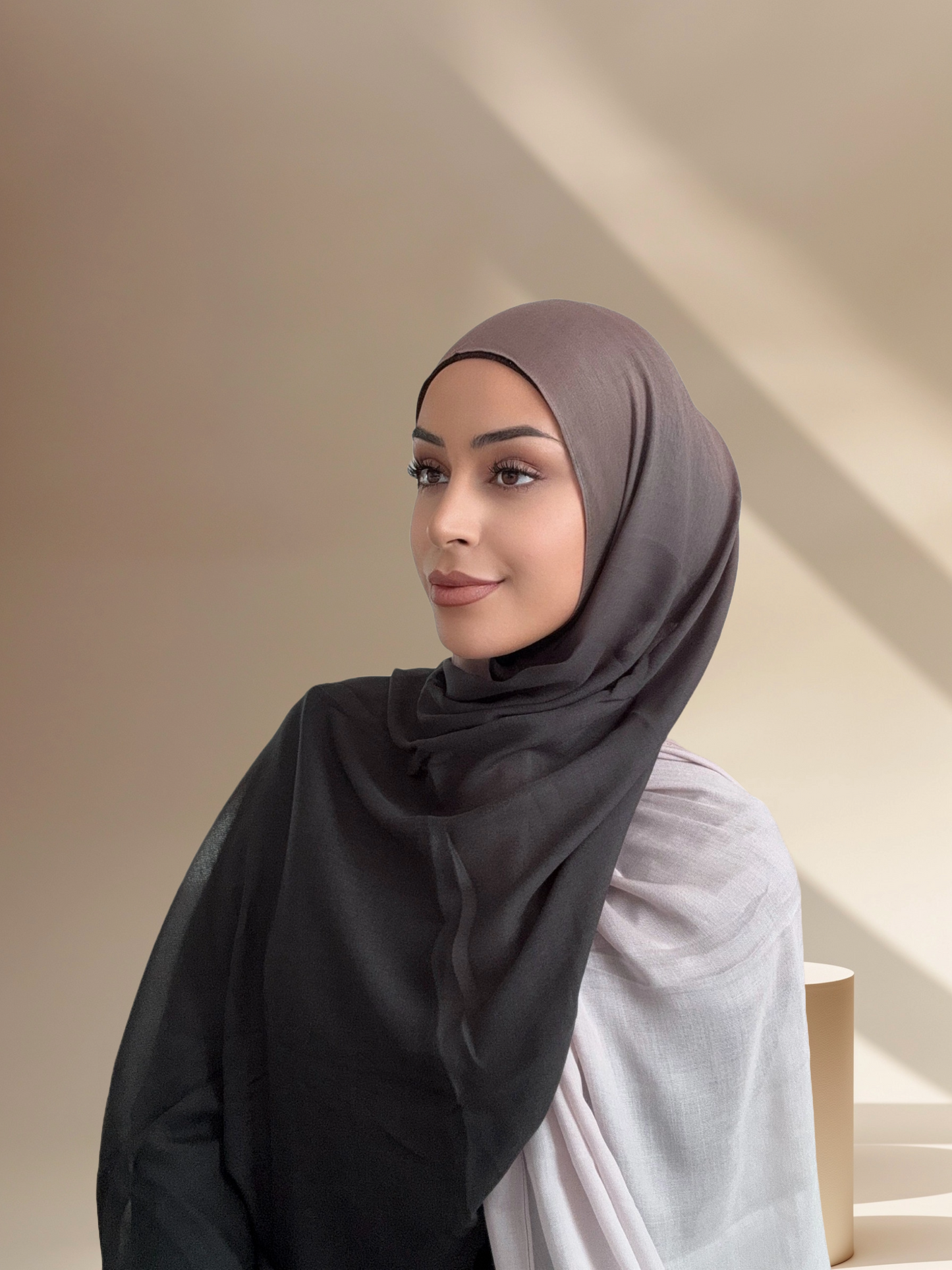 Taupe/Black Ombre Modal